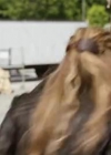 VampireDiariesWorld-dot-org_PrimevalNewWorldS01E13-1870.jpg