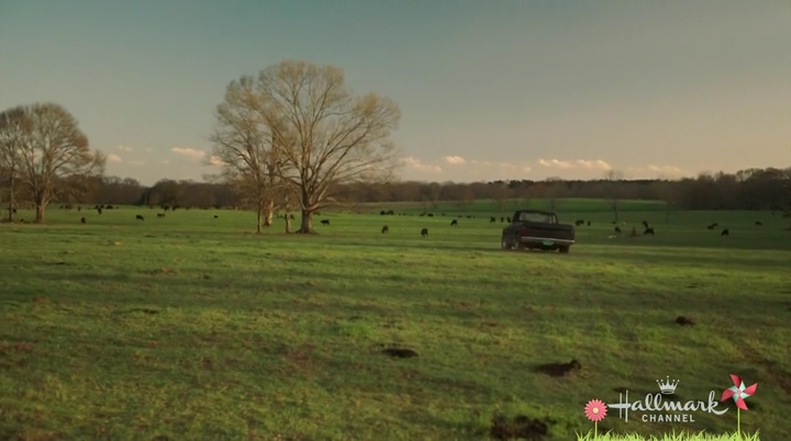 VampireDiariesWorld-dot-nl_HomeBySpring1488.jpg