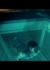 VampireDiariesWorld-dot-org_Pirahna3d01341.png