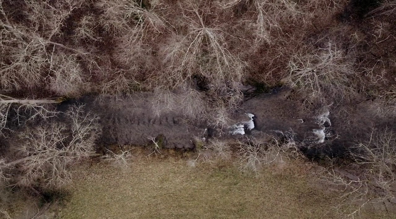 VampireDiariesWorld-dot-nl_TheWarrant2328.jpg VampireDiariesWorld-dot-nl_TheWarrant2328.jpg