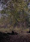 Filename=VampireDiariesWorld-dot-nl_TheWarrant2640.jpg
Filesize=887KiB
Dimensions=1280x710
Date added=Jan 15, 2023 VampireDiariesWorld-dot-nl_TheWarrant2640.jpg
