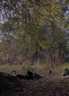 Filename=VampireDiariesWorld-dot-nl_TheWarrant2642.jpg
Filesize=915KiB
Dimensions=1280x710
Date added=Jan 15, 2023 VampireDiariesWorld-dot-nl_TheWarrant2642.jpg
