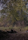 Filename=VampireDiariesWorld-dot-nl_TheWarrant2643.jpg
Filesize=920KiB
Dimensions=1280x710
Date added=Jan 15, 2023 VampireDiariesWorld-dot-nl_TheWarrant2643.jpg