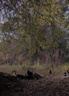 Filename=VampireDiariesWorld-dot-nl_TheWarrant2644.jpg
Filesize=918KiB
Dimensions=1280x710
Date added=Jan 15, 2023 VampireDiariesWorld-dot-nl_TheWarrant2644.jpg