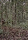 Filename=VampireDiariesWorld-dot-nl_TheWarrant2685.jpg
Filesize=937KiB
Dimensions=1280x710
Date added=Jan 15, 2023 VampireDiariesWorld-dot-nl_TheWarrant2685.jpg