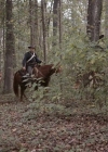 Filename=VampireDiariesWorld-dot-nl_TheWarrant2686.jpg
Filesize=775KiB
Dimensions=1280x710
Date added=Jan 15, 2023 VampireDiariesWorld-dot-nl_TheWarrant2686.jpg
