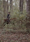 Filename=VampireDiariesWorld-dot-nl_TheWarrant2687.jpg
Filesize=757KiB
Dimensions=1280x710
Date added=Jan 15, 2023 VampireDiariesWorld-dot-nl_TheWarrant2687.jpg