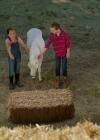 VampireDiariesWorld-dot-nl_WishUponAUnicorn2346.jpg
