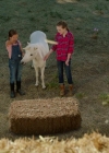 VampireDiariesWorld-dot-nl_WishUponAUnicorn2348.jpg
