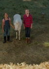 VampireDiariesWorld-dot-nl_WishUponAUnicorn2351.jpg
