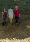 VampireDiariesWorld-dot-nl_WishUponAUnicorn2352.jpg