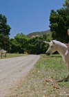 VampireDiariesWorld-dot-nl_WishUponAUnicorn2390.jpg