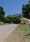 VampireDiariesWorld-dot-nl_WishUponAUnicorn2392.jpg