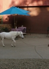 VampireDiariesWorld-dot-nl_WishUponAUnicorn2562.jpg
