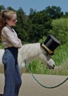 Filename=VampireDiariesWorld-dot-nl_WishUponAUnicorn3145.jpg
Filesize=608KiB
Dimensions=1280x714
Date added=Jan 15, 2023 VampireDiariesWorld-dot-nl_WishUponAUnicorn3145.jpg