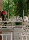 Filename=VampireDiariesWorld-dot-nl_WishUponAUnicorn3267.jpg
Filesize=775KiB
Dimensions=1280x714
Date added=Jan 15, 2023 VampireDiariesWorld-dot-nl_WishUponAUnicorn3267.jpg