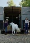 VampireDiariesWorld-dot-nl_WishUponAUnicorn3365.jpg