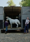 VampireDiariesWorld-dot-nl_WishUponAUnicorn3367.jpg