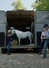 VampireDiariesWorld-dot-nl_WishUponAUnicorn3370.jpg