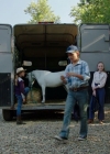 VampireDiariesWorld-dot-nl_WishUponAUnicorn3371.jpg