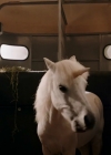 VampireDiariesWorld-dot-nl_WishUponAUnicorn4348.jpg