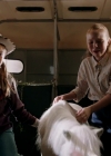 VampireDiariesWorld-dot-nl_WishUponAUnicorn4374.jpg