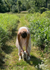 Filename=042-5.jpg
Filesize=542KiB
Dimensions=1080x1350
Date added=Feb 13, 2023 042-5.jpg
