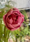 075-5.jpg