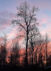 Filename=014-9.jpg
Filesize=451KiB
Dimensions=1080x1347
Date added=Feb 03, 2025 014-9.jpg