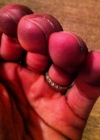 Filename=038.jpg
Filesize=87KiB
Dimensions=612x612
Date added=Oct 23, 2012 038.jpg