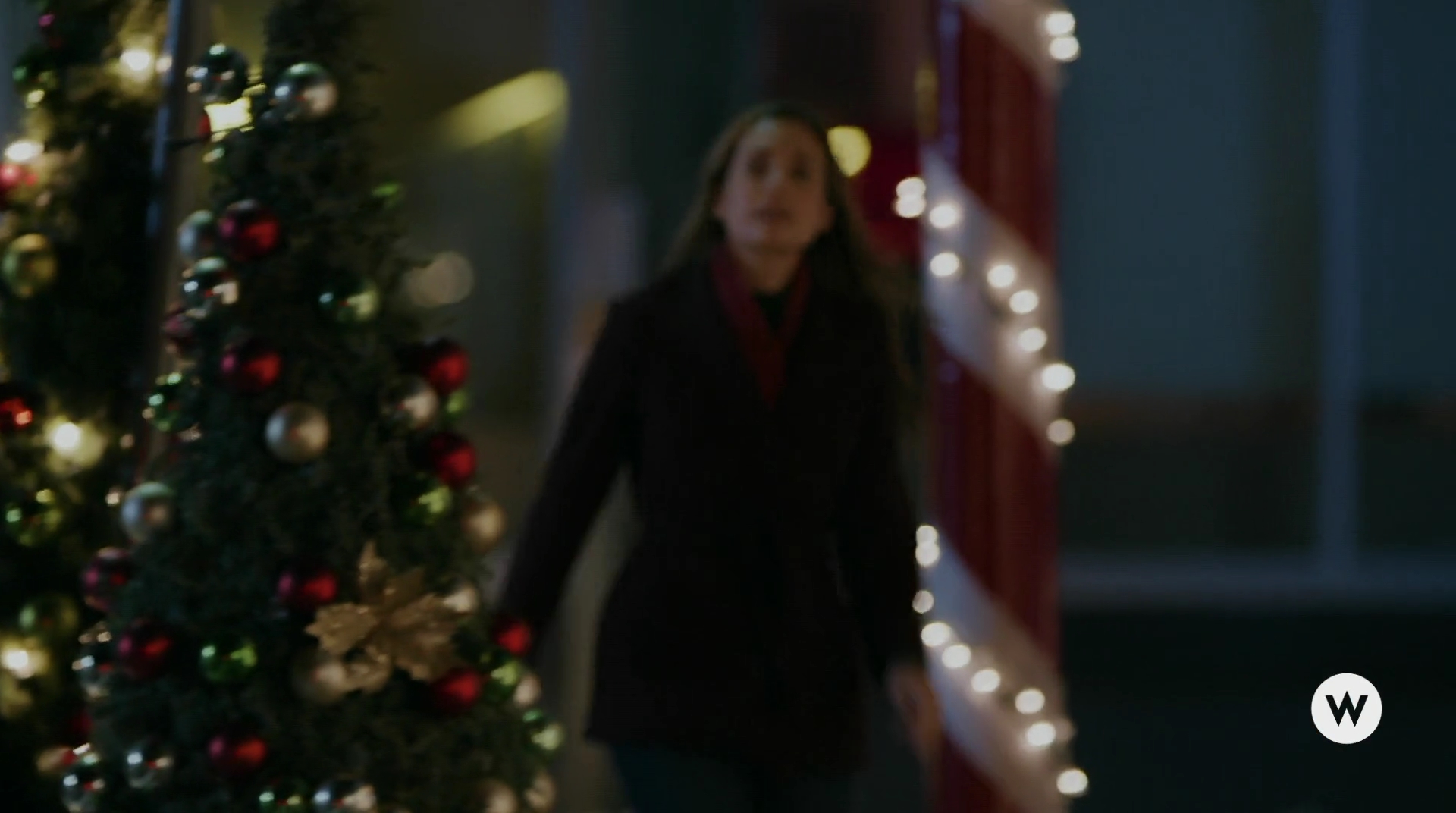 VampireDiariesWorld-dot-nl_TheChristmadPromise4810.jpg
