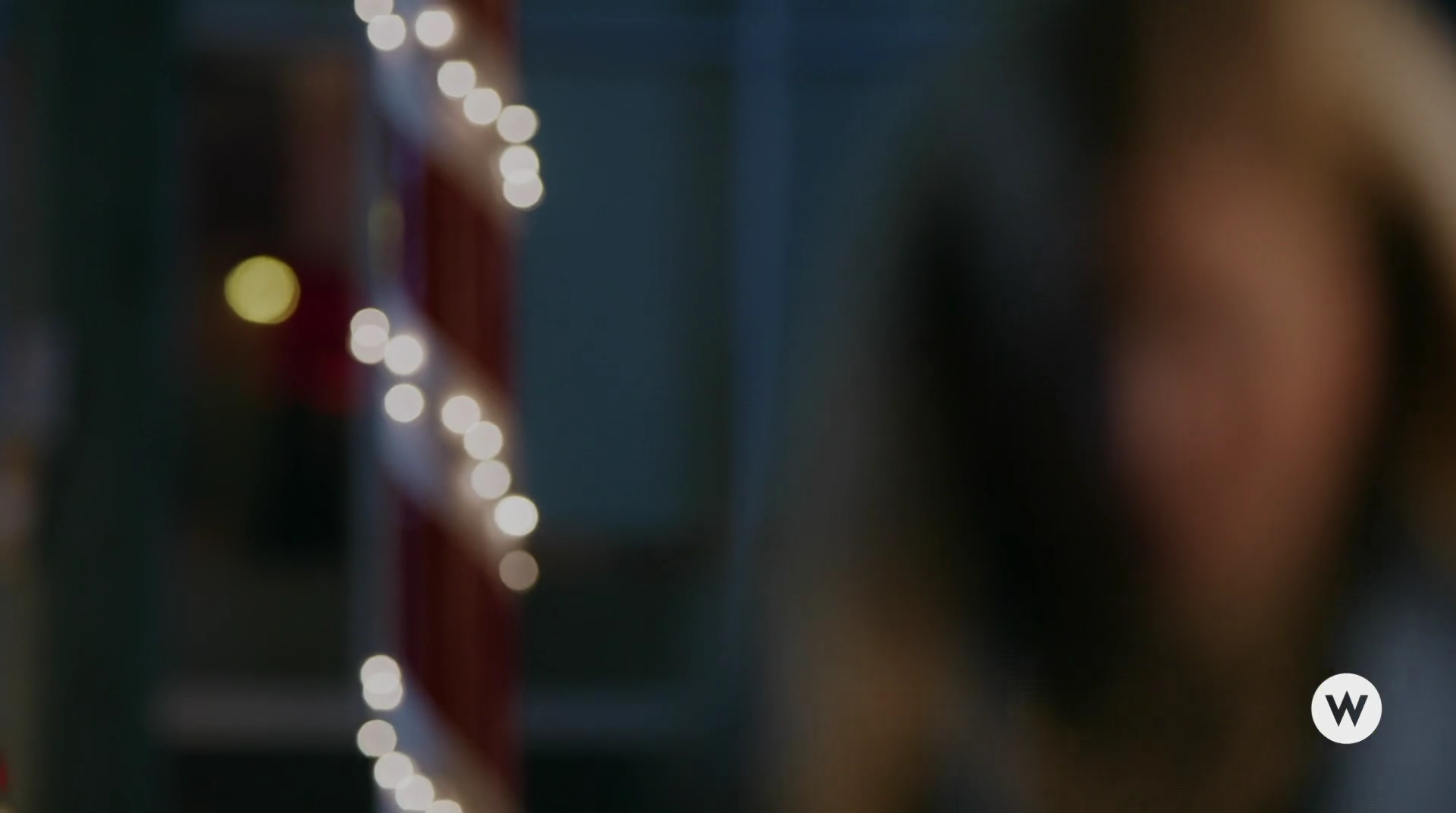 VampireDiariesWorld-dot-nl_TheChristmadPromise4818.jpg