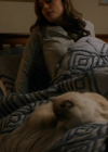 VampireDiariesWorld-dot-nl_TheChristmadPromise1815.jpg