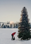 Filename=VampireDiariesWorld-dot-nl_TheChristmadPromise3312.jpg
Filesize=605KiB
Dimensions=1920x1072
Date added=Feb 13, 2023 VampireDiariesWorld-dot-nl_TheChristmadPromise3312.jpg