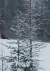 vampirediariesworld-dot-nl_AChristmasToSavour2845.jpg