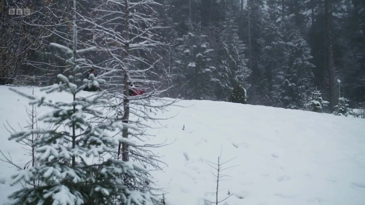 vampirediariesworld-dot-nl_AChristmasToSavour2848.jpg