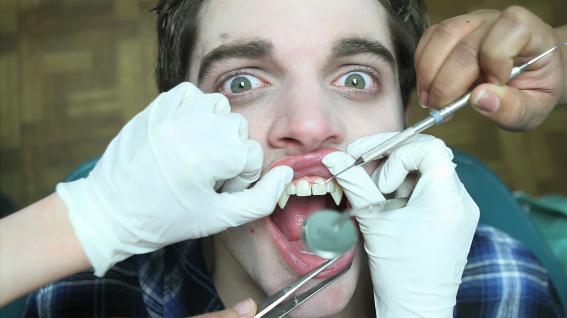 VampireDiariesWorld_dot_org-TheHillywoodShowParody0881.png