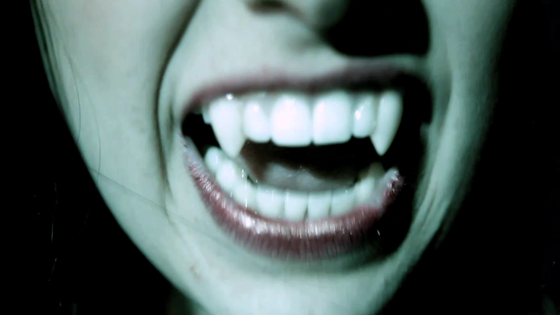 VampireDiariesWorld_dot_org-TheHillywoodShowParody1060.png