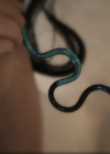 VampireDiariesWorld_dot_org-TheHillywoodShowParody0714.png