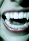 VampireDiariesWorld_dot_org-TheHillywoodShowParody1060.png