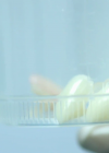 VampireDiariesWorld_dot_org-TheHillywoodShowParody1108.png