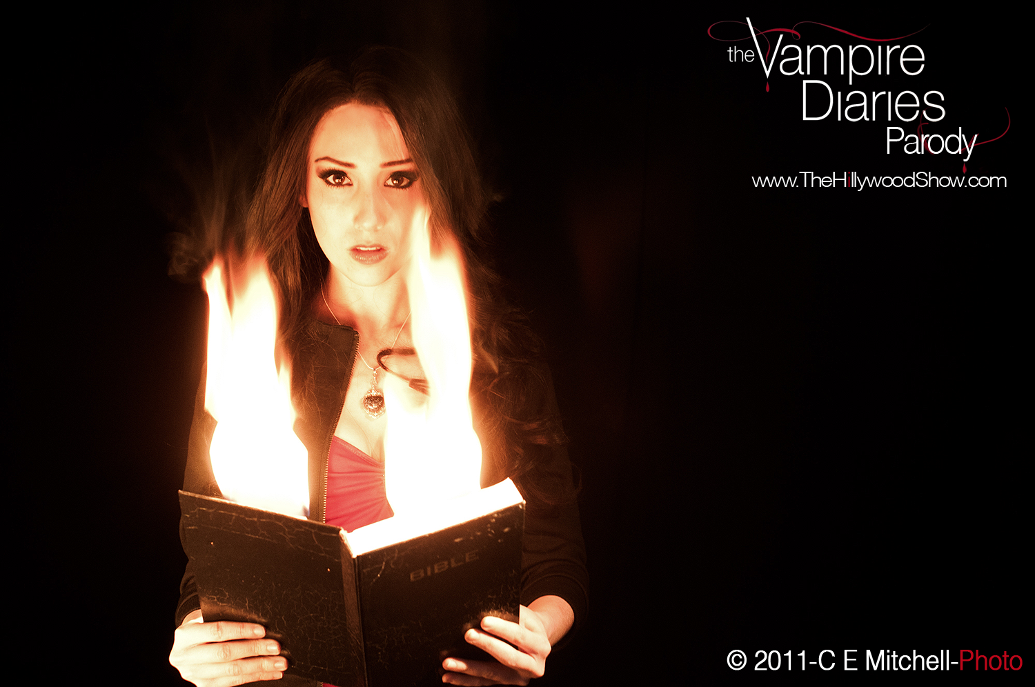 TVDFire.png