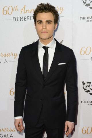paul007.jpg