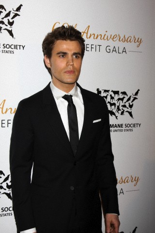 paul017.jpg