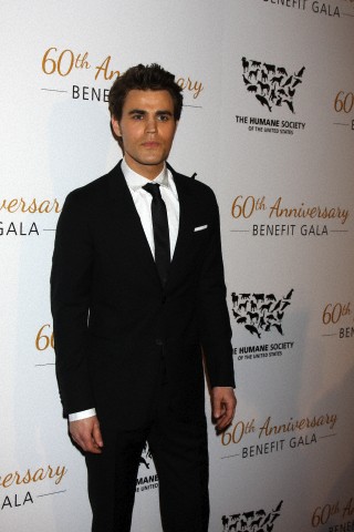 paul019.jpg