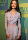 phoebe026.jpg