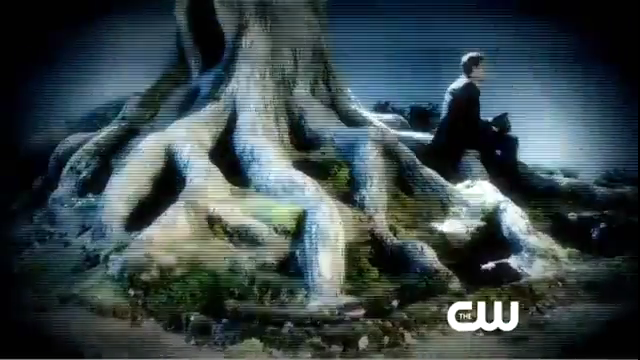 VampireDiariesWorld-dot-org_TVDS3-AppetitesPromo0017.png