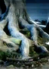Filename=VampireDiariesWorld-dot-org_TVDS3-AppetitesPromo0017.png
Filesize=286KiB
Dimensions=640x360
Date added=Sep 21, 2011 VampireDiariesWorld-dot-org_TVDS3-AppetitesPromo0017.png