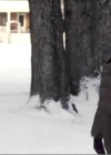 VampireDiariesWorld-dot-org_IThinkIDo3775.jpg