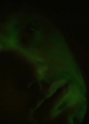 VampireDiariesworld-dot-nl_RoswellNewMexico1x01-0513.jpg